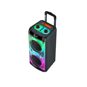 ลำโพงคาราโอเกะแบบพกพาพร้อมไฟ RGB กำลังขับสูง 1000 วัตต์ เชื่อมต่อบลูทูธ พร้อมไมโครโฟนไร้สาย 2 ตัว - Product Image 5