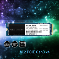 Produsen pabrik kualitas terbaik OEM SSD M.2 Series Solid State Drive untuk Laptop Desktop M.2 2280 NVMe 256G SSD Hard Drive