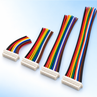 Câble de connexion fil-circuit imprimé double rangée personnalisé, faisceau de câbles multi-contacts pour PCB, OEM