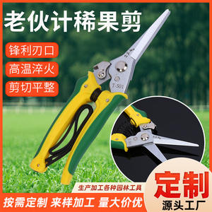 Old Friend Pruning Shears Stainless Steel 65mm Blade 20-30mm Trimming Diameter <b>Butterfly</b> Design <b>Gardening</b> Tool - Product Image 4