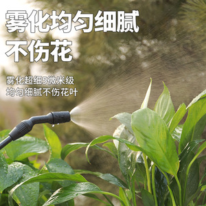 Electric <b>Knapsack</b> <b>Sprayer</b> 4L Lithium Battery Home Garden Watering Can - Product Image 3