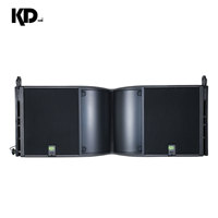 Altavoz de arreglo lineal pasivo de neodimio de 8 ohmios y doble woofer de 12 pulgadas con diafragma de aleación de titanio y carcasa de madera de abedul, 1000W RMS para exteriores