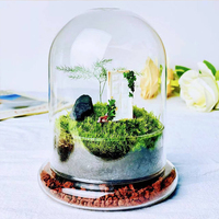 Vase en verre en forme de dôme, terrarium en verre borosilicate de haute qualité avec base, mini paysage forestier, plante naturelle, mousse pour la décoration de table