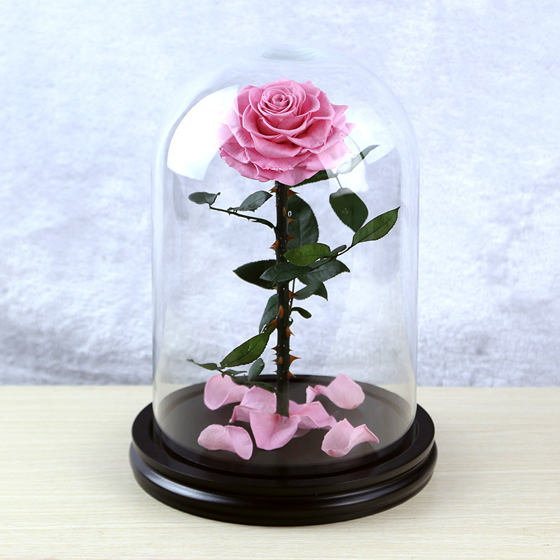 20*30cm rose