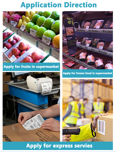 Đông Lạnh Nhãn Tủ Đông Dính Không Thấm Nước Trắng Hoặc Tùy Chỉnh In Bao Bì Stickers Chuyển Trực Tiếp Nhiệt Nhãn - Product Image 6