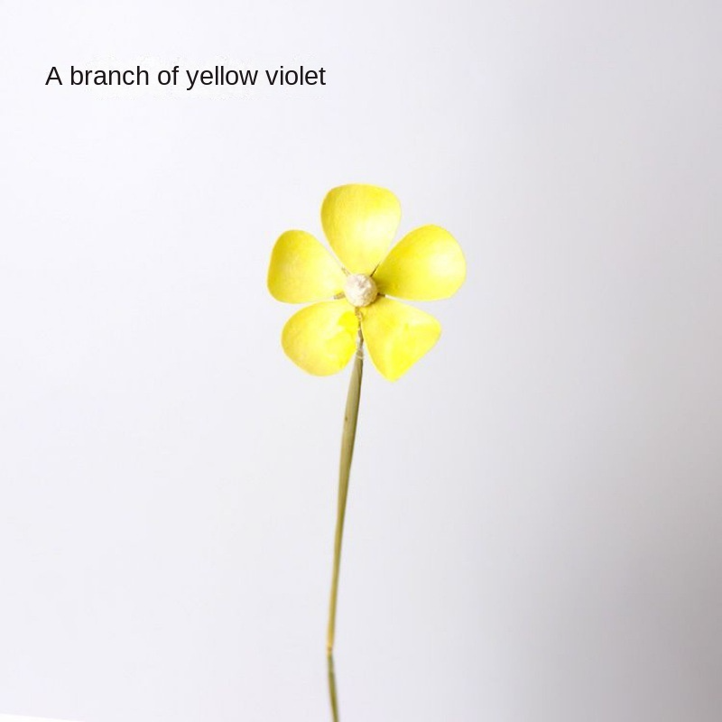 A Yellow Violet [Send a Bundle of Flowers, Leaves and Hemp Rope]
