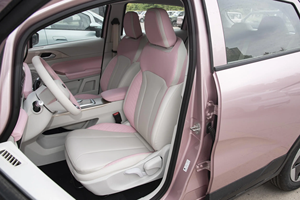 Voiture d'<span class=keywords><strong>occasion</strong></span> Geely Geometry E Firefly, mini <span class=keywords><strong>véhicule</strong></span> électrique avec une autonomie <span class=keywords><strong>de</strong></span> 301 km, esthétique haut <span class=keywords><strong>de</strong></span> gamme, conduite à gauche - Product Image 6