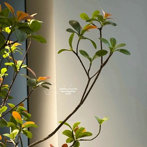 Ornements de sol haut de gamme en plastique, <span class=keywords><strong>fleurs</strong></span> artificielles de Nandina, plantes vertes, décoration intérieure de style chinois - Product Image 3