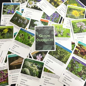 Set di Flashcard Personalizzabili con Coperchio e Base Laminati Lucidi per Piante e Fiori, per <span class=keywords><strong>Imparare</strong></span> e Giocare - Product Image 4