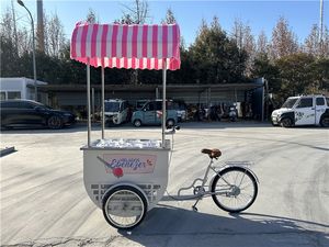 Chariot mobile pour glaces et sucettes glacées/Chariot pour sucettes glacées à vendre/Chariots pour glaces - Product Image 5