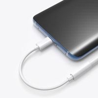 Boîtier ABS Puce DAC Type C Mâle à 3.5mm Femelle Convertisseur d'adaptateur de câble audio stéréo HIFI