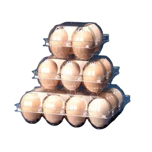 Best Quality China Manufacturer Eggs Packaging Tray Box Paper Pulp Container