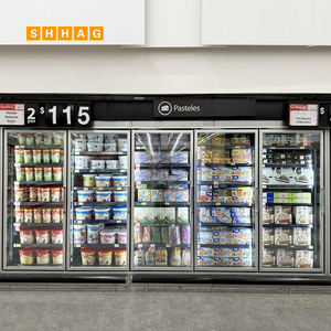 Thương mạ<span class=keywords><strong>i</strong></span> thẳng đứng Thiết bị làm lạnh Tủ đông cửa kính hiển thị nguồn đ<span class=keywords><strong>i</strong></span>ện 220V Bộ phận tủ lạnh mớ<span class=keywords><strong>i</strong></span> - Product Image 4