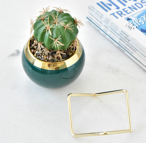 Vaso per <span class=keywords><strong>Piante</strong></span> Succulente in Ceramica Moderno e Carino con Struttura in Metallo, Elegante, Durevole ed Ecologico - Product Image 6