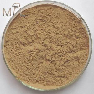 Teh polifenol CAS 84650-60-2 Harga bubuk dengan tingkat kosmetik dapat dimakan EGCG 25KG <span class=keywords><strong>50</strong></span>% 90% 95% 98% - Product Image 1