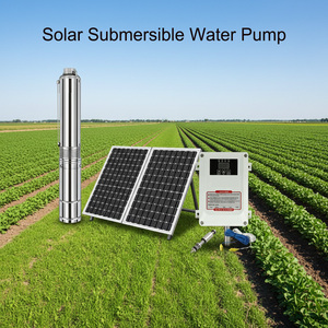 <span class=keywords><strong>Pompe</strong></span> <span class=keywords><strong>à</strong></span> eau solaire submersible en acier inoxydable pour puits profonds, irrigation agricole avec contrôleur MPPT - Product Image 1