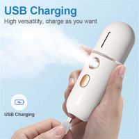 Mini Vaporisateur Facial Portable Rechargeable à Brume Nano Hydratation Profonde Ultrasonique Alimenté par USB en Plastique pour Beauté, Voiture et Extérieur
