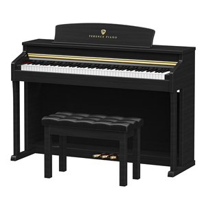 Piano Digital Vertical TERENCE E50 de 88 Teclas con Acción de Martillo Contrapesado, 3 Pedales, Altavoz Integrado y Funciones Avanzadas <span class=keywords><strong>para</strong></span> Uso Doméstico - Product Image 3