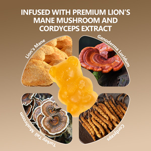 Bonbons gélifiés à la crinière de lion en gros, marque privée, extrait de cordyceps, complément alimentaire aux champignons avec soutien énergétique et pour le sommeil - Product Image 5