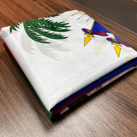 Drapeau haïtien 3*5 pieds, drapeaux de l'équipe de football haïtienne pour l'extérieur, couvre-véhicule avec drapeau haïtien