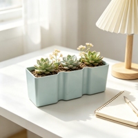Pots à plantes succulentes, pots de pépinière en plastique pour cactus, petites plantes, décoration de bureau à domicile