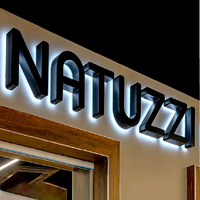 Enseignes de devanture de magasin en extérieur, logo en acrylique, lettres en relief éclairées, lettres en relief éclairées par l'avant et l'arrière, LED 3D personnalisées, décoration peinte en or