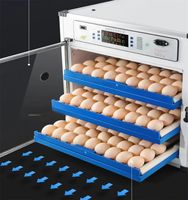 Mesin penetas telur 204 kapasitas telur ayam bebek Turki penetas daya ganda tenaga surya baru bahan PP