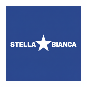 Stella bianca 20mm elettrolitica diamante nucleo punta per il modello di 067020 in muratura e calcestruzzo - Product Image 1