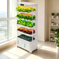 Système hydroponique vertical d'intérieur en promotion, 5 couches, lumière LED rouge et bleue, plateau en PP de qualité alimentaire, circulation d'eau automatique, 95 % d'eau recyclée