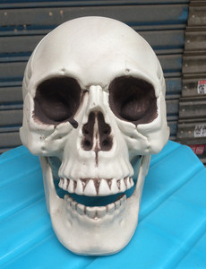 Vari stili <span class=keywords><strong>di</strong></span> Halloween testa <span class=keywords><strong>di</strong></span> teschio <span class=keywords><strong>di</strong></span> <span class=keywords><strong>sangue</strong></span> rosso e layout <span class=keywords><strong>di</strong></span> scena <span class=keywords><strong>di</strong></span> scheletro <span class=keywords><strong>di</strong></span> cadavere secco - Product Image 4