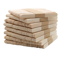 Bâtonnets de glace biodégradables écologiques, vente en gros, personnalisables pour tous les scénarios