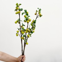 Hoogwaardig kunstmatig crabapple-fruit, vers fruit in Chinese stijl, decoratie voor thuis en hotel, fotografie-accessoire