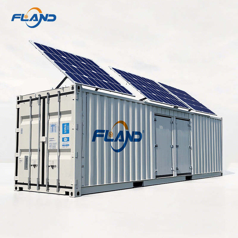 40FT Cold Storage 20FT Solar Container Blast Freezer Room with Solar ...
