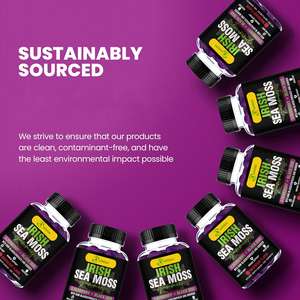 Gommes à mâcher naturelles à base d'algues marines pour renforcer l'immunité, varech, vinaigre de cidre de pomme, favorise la santé digestive, bonbons gélifiés, dosage - Product Image 5