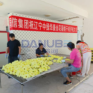 Horno de Secado con Bomba de Calor Golden Sunflower de Tecnología Avanzada, Equipo de Secado Golden Sunflower - Product Image 1