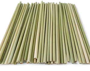 หลอดไม้ไผ่แบบไม่บรรจุภัณฑ์ เป็นมิตรกับสิ่งแวดล้อม คุณภาพพรีเมียม ย่อยสลายได้ตามธรรมชาติ ขนาด 20 ซม. สำหรับใช้ในแคมป์ปิ้ง - Product Image 3