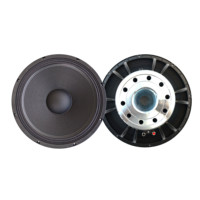 Chenbaoaudio Audio professionnel 18 pouces 3000W Subwoofer en néodyme et aluminium avec unité de haut-parleur de graves