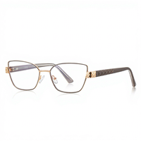 Lunettes anti-lumière bleue transfrontalières 3167 – Monture en métal large à bordure complète avec inserts en propionate pour femmes aux petits visages, effet rajeunissant