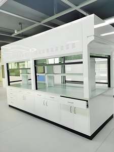 Hotte de <span class=keywords><strong>laboratoire</strong></span> chimique, armoire à fumées à conduit pour les laboratoires pharmaceutiques, universitaires et de R&D avec volet et éclairage LED - Product Image 2