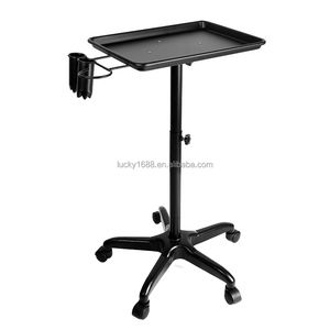 थोक विक्रेताओं की उच्च गुणवत्ता वाले धातु धारक रोलिंग ब्यूटी स्पा ट्रे कार हेयर सैलून ट्रॉली - Product Image 1