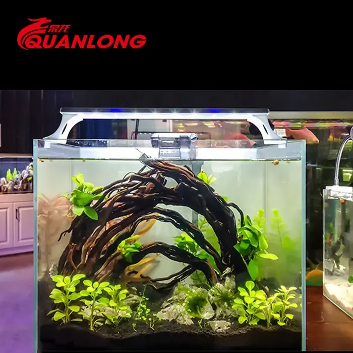 Quanlong - Lâmpada LED para aquário, luminária de aquário com clipe para aquário, ideal para aquários e plantas, ideal para aquários, lançamento em grande escala