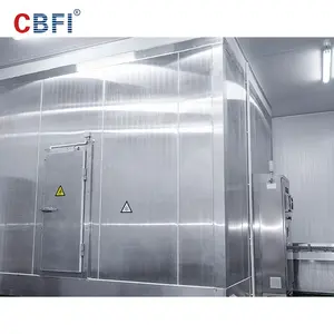 Máquina de congelación IQF Carne de pescado Máquina de congelación rápida de doble espiral para la venta