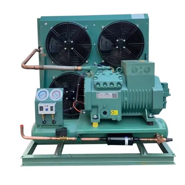 High Quality New Open Type Automatic High Low Pressure Controller TECUMSEH Compressor Designed Refrigeration Condensing Unit