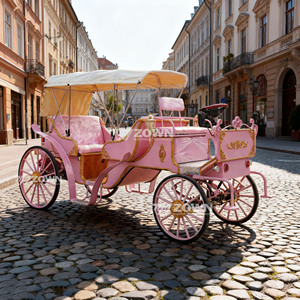 Nuevo Carro de Turismo Victoriano 2026, Carro Eléctrico, Nuevo Diseño, Garantía de Dos Años - Product Image 2