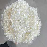 2026 Bunga Hydrangea Kering Paling Populer untuk Dekorasi Rumah Harga Pabrik Tahan Lama 3-5 Tahun Hari Ibu & Hari Valentine