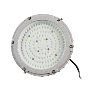工場IP66化学プラント防食LED防爆照明防爆ライトランプ