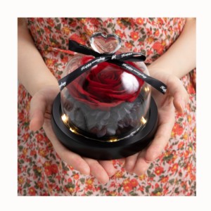 Roses éternelles de haute qualité sous dôme de verre, fleur préservée, plante immortelle, <span class=keywords><strong>la</strong></span> <span class=keywords><strong>belle</strong></span> <span class=keywords><strong>et</strong></span> <span class=keywords><strong>la</strong></span> bête, pour un cadeau de noël - Product Image 2