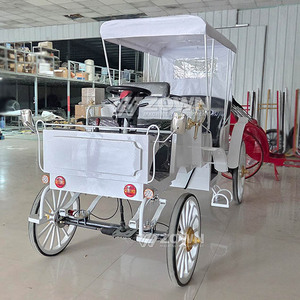 Chariot Électrique Sans Chevaux pour 6 Passagers, Écologique, pour Visites Touristiques et Transferts dans les Campus et Zones Touristiques - Product Image 3