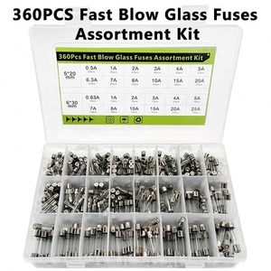 DaierTek Kit Surtido de 360 Fusibles de Vidrio de Acción Rápida, 24 Valores, Kit Surtido de Fusibles para Automóvil, 250V, Fusibles de Tubo de Vidrio de 5x20mm y 6x30mm - Product Image 3
