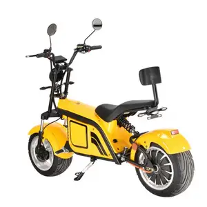 English And Customized Manual Supply 2 Person Dubai Electric Scooter